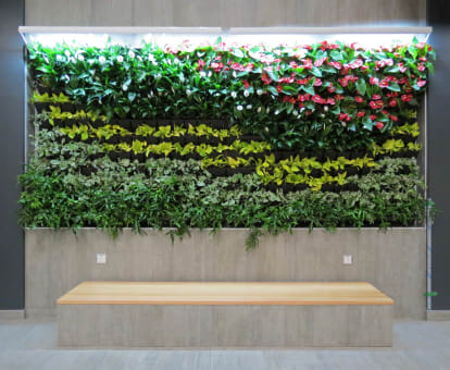 Living plant wall installation shown in an office environment