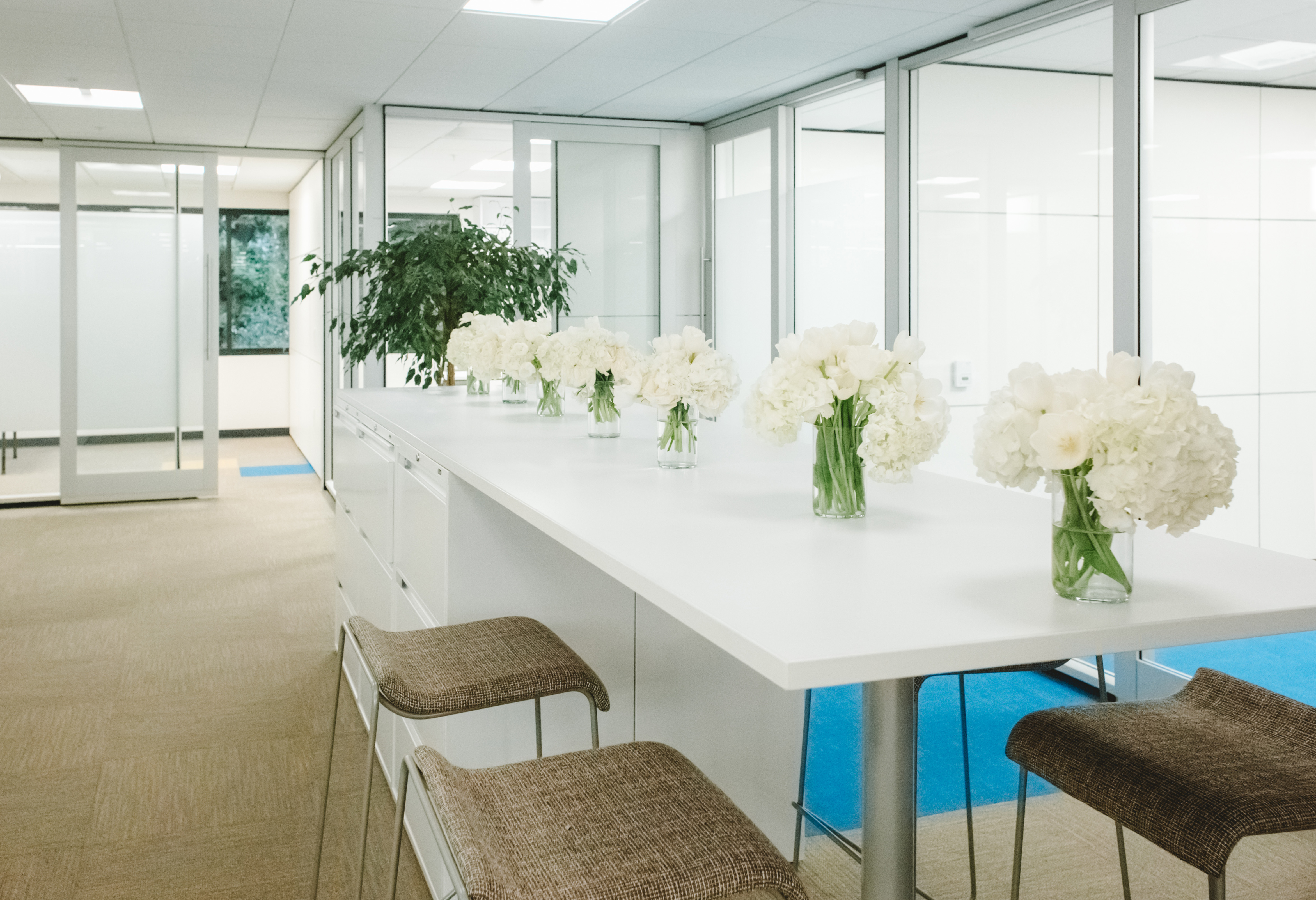 DIRTT interiors