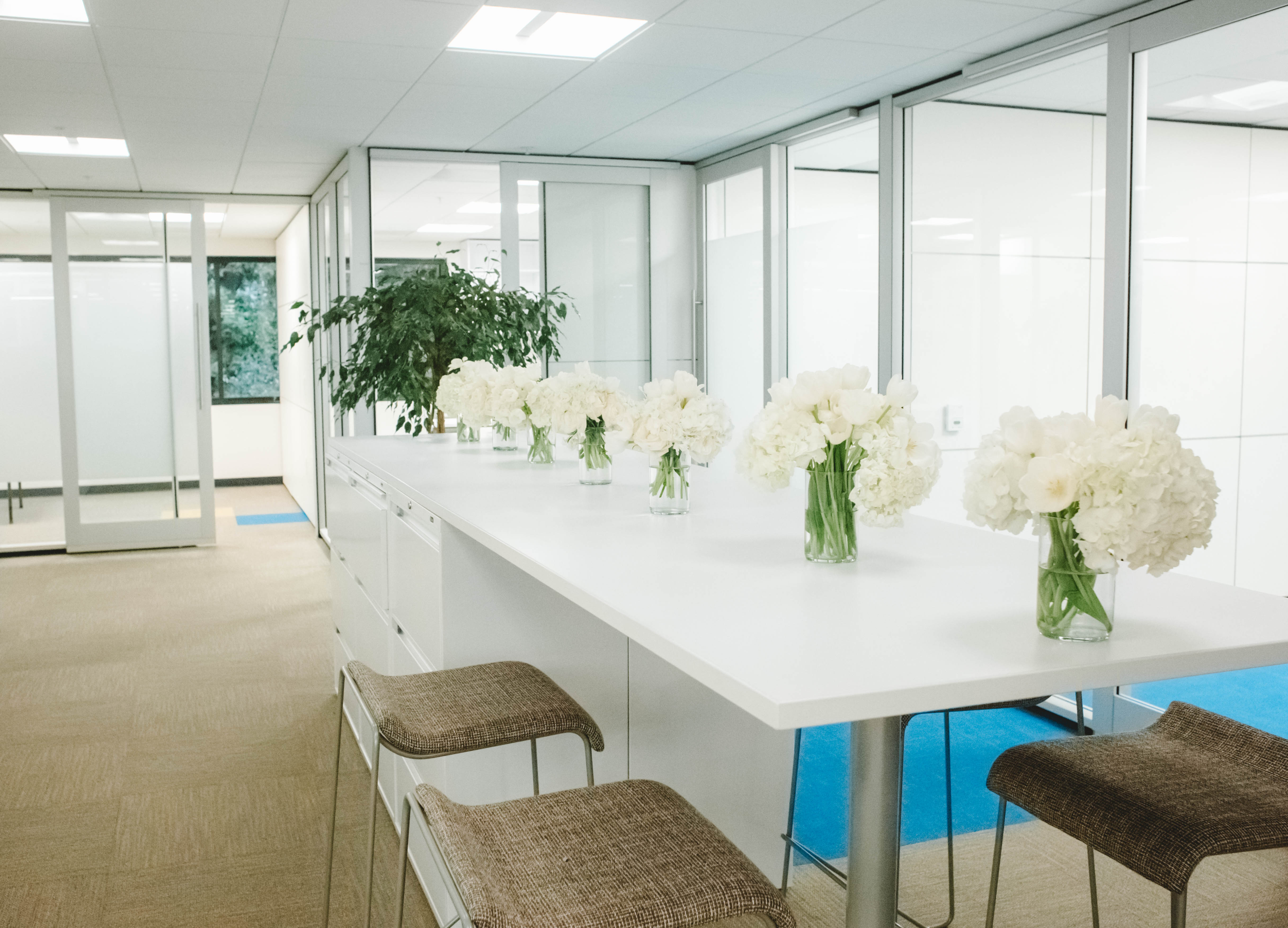 DIRTT interiors