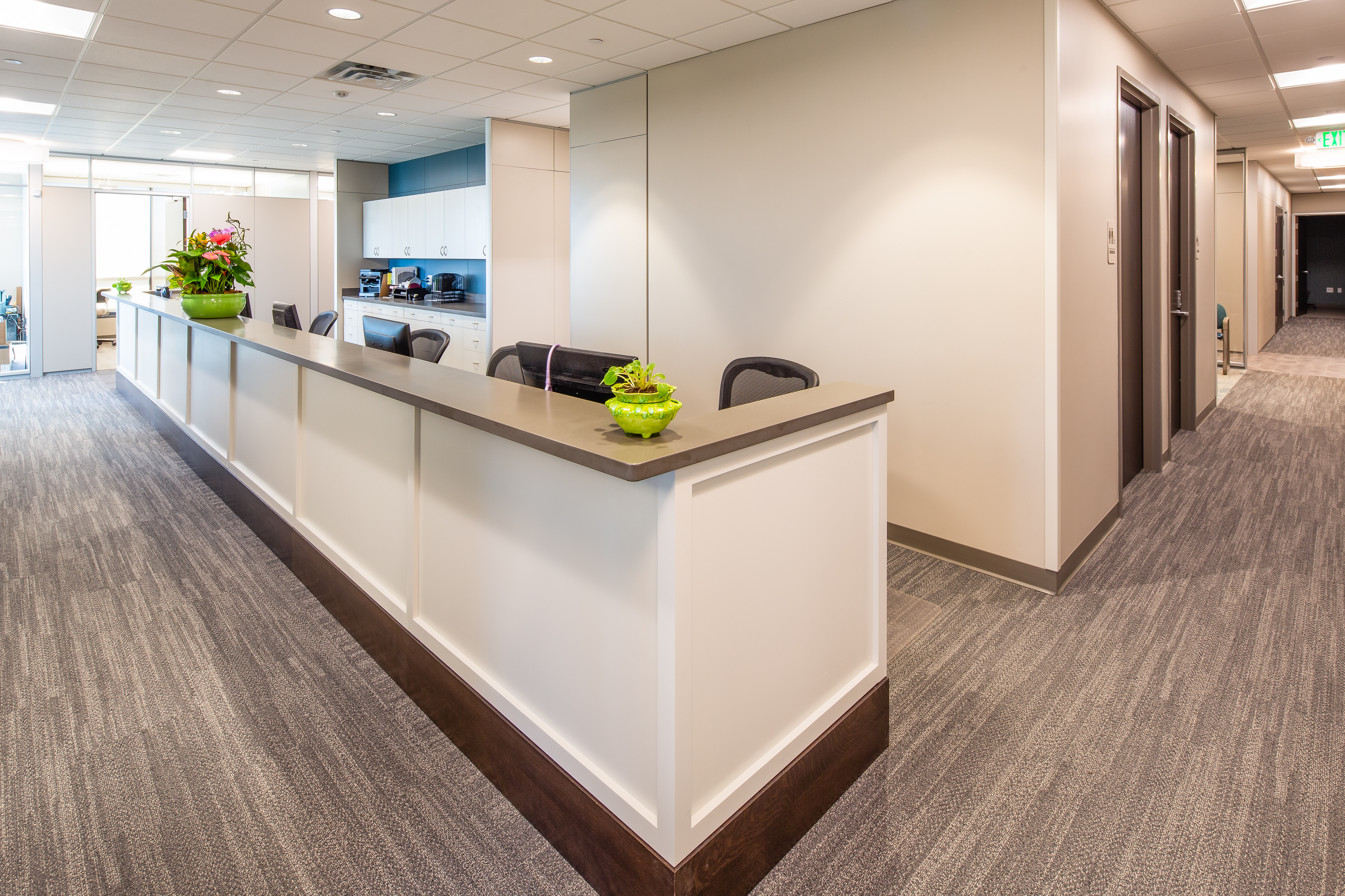 DIRTT gallery