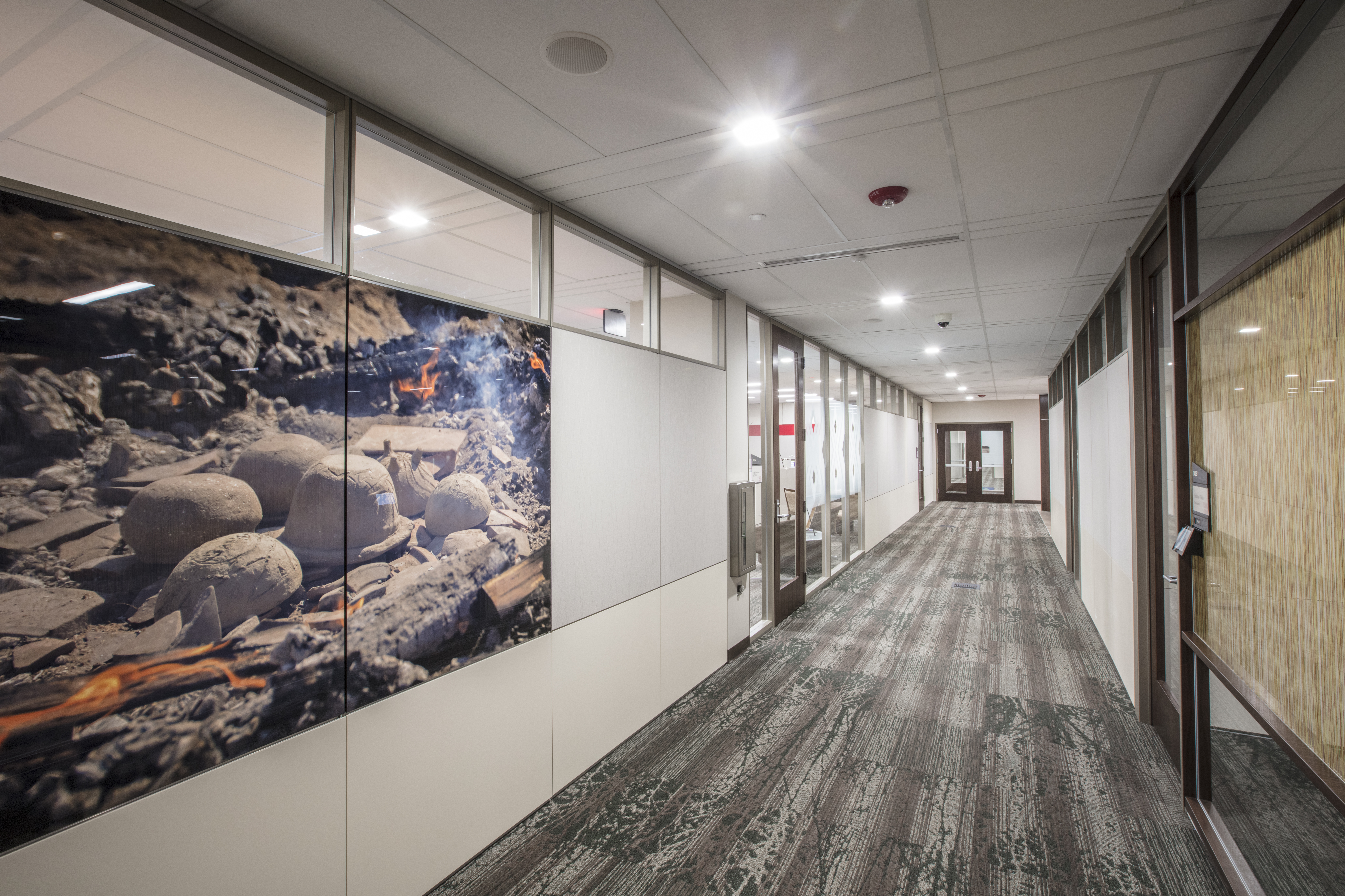 DIRTT gallery