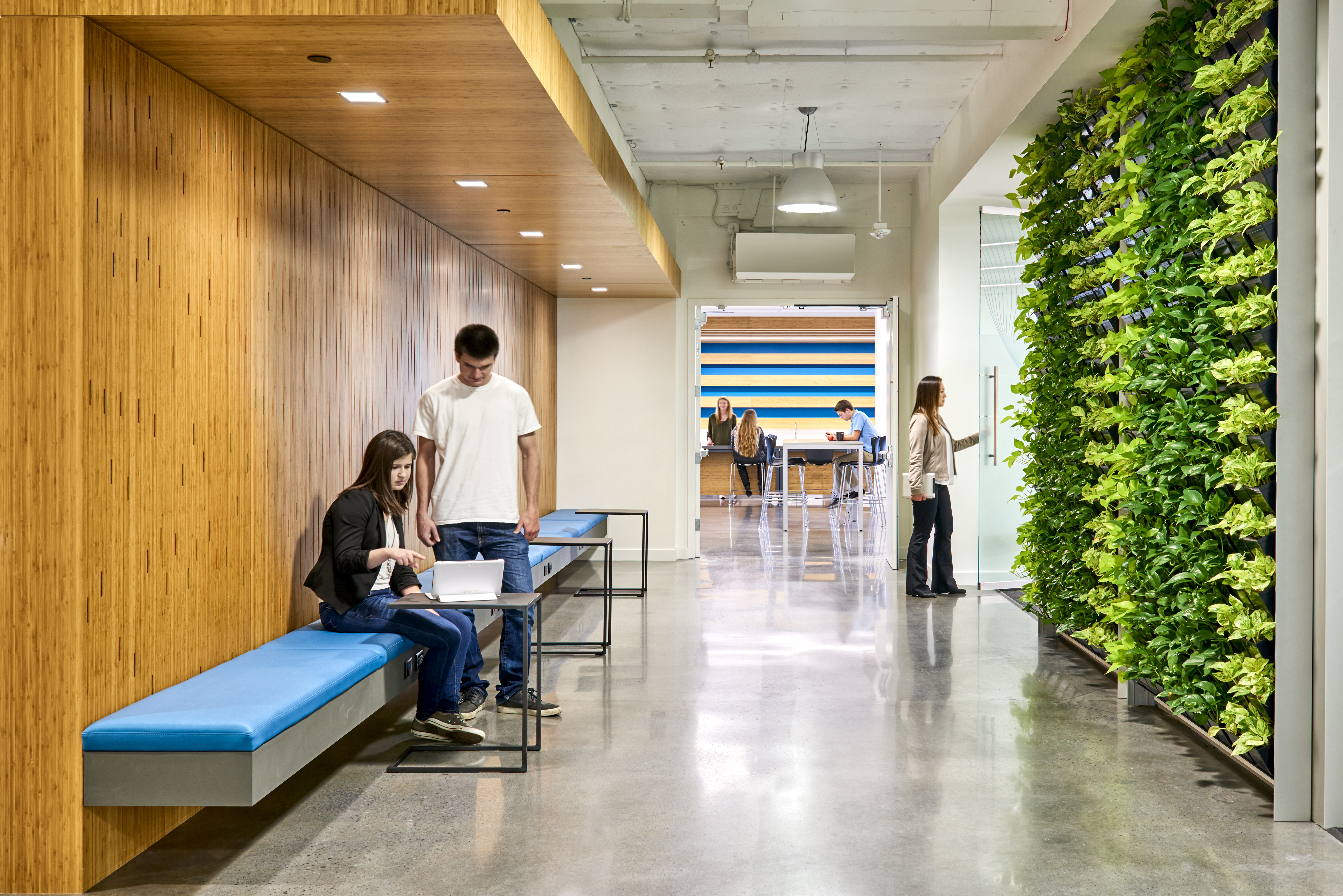 Living plant wall installation shown across two large walls