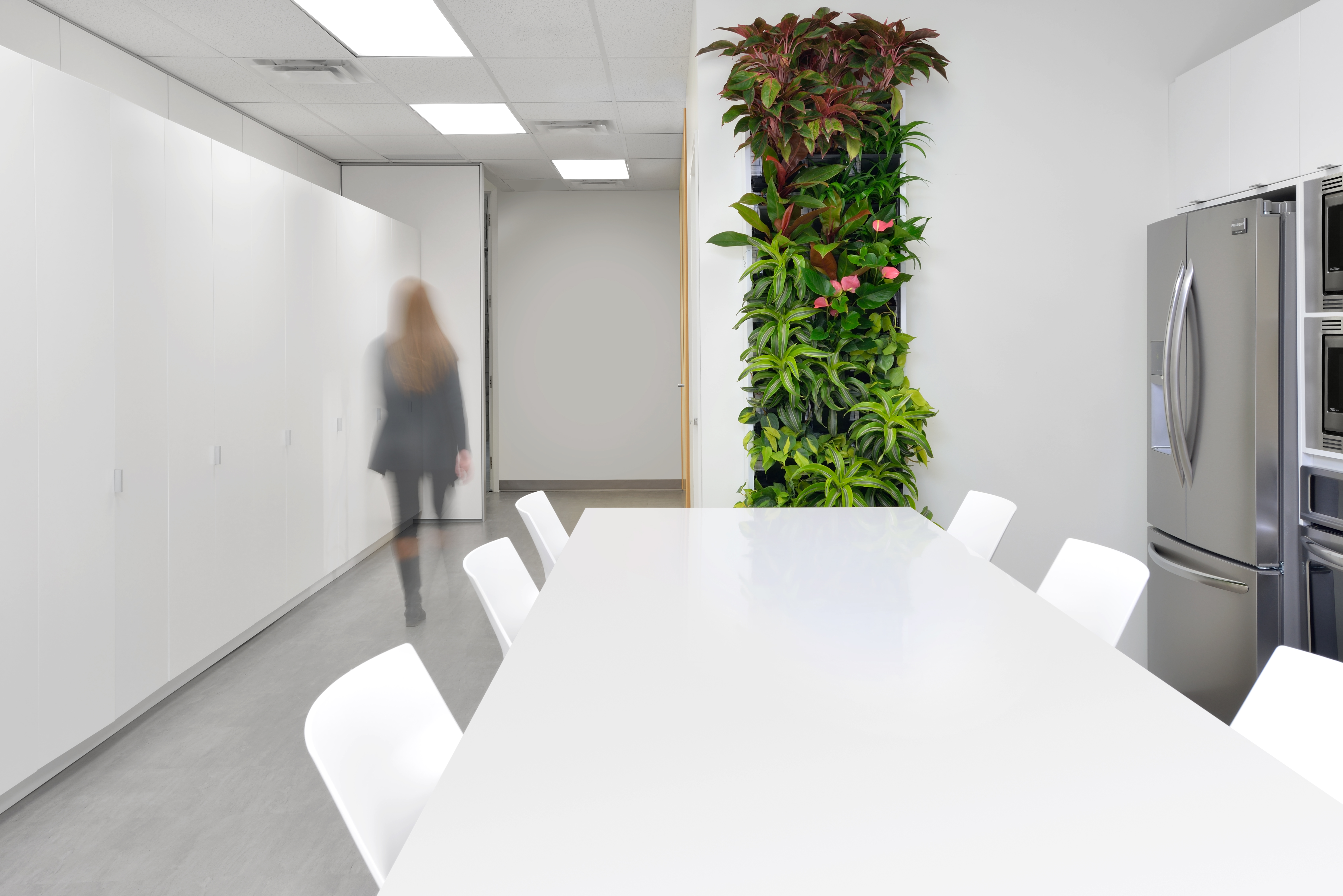 Panel of living plant wall installed in an open office environment