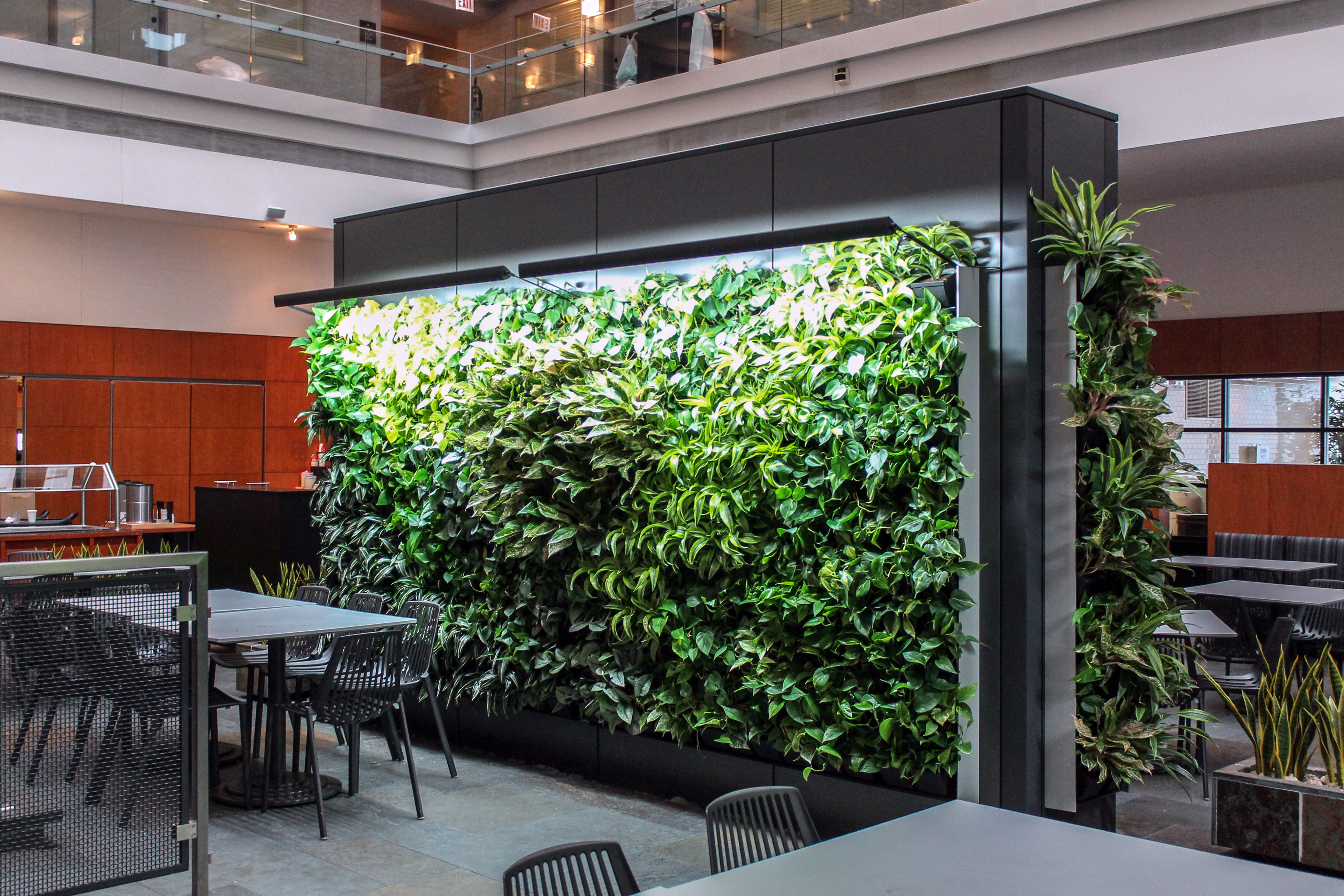 Living plan wall installation alongside an open collaborative environment