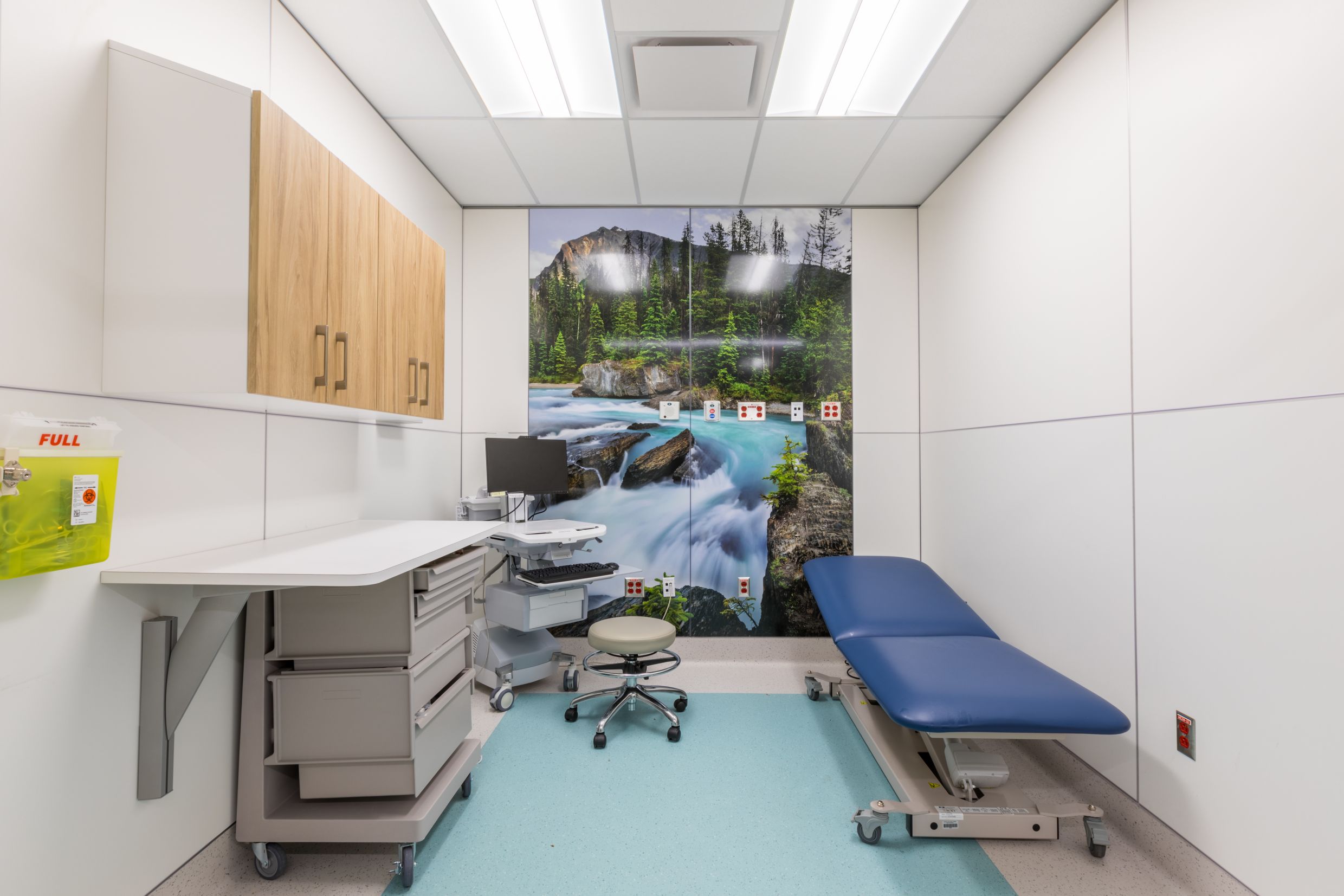 An exam room with nature graphics integrated on DIRTT wall panels.