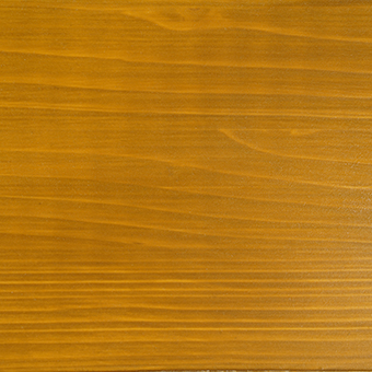 Palomino