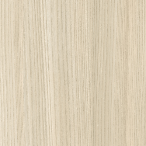 Field Elm (7999K-12)