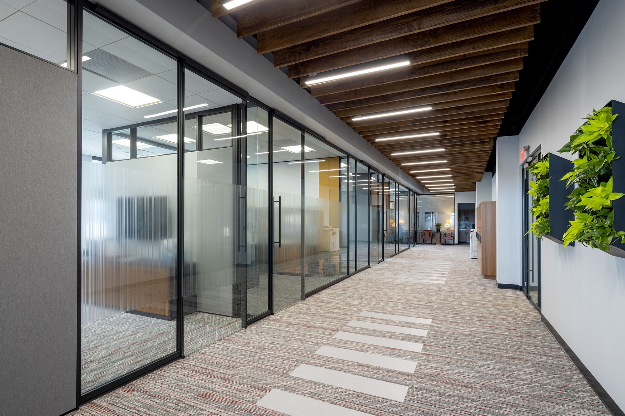 DIRTT project: pb2 architecture + engineering 4 inch solid wall, applied film, chromacoat, clerestory, combination wall, hallway, inspire frameless glass sliding door, inspire glass wall, inspire three way intersection, powder coat, solid wall